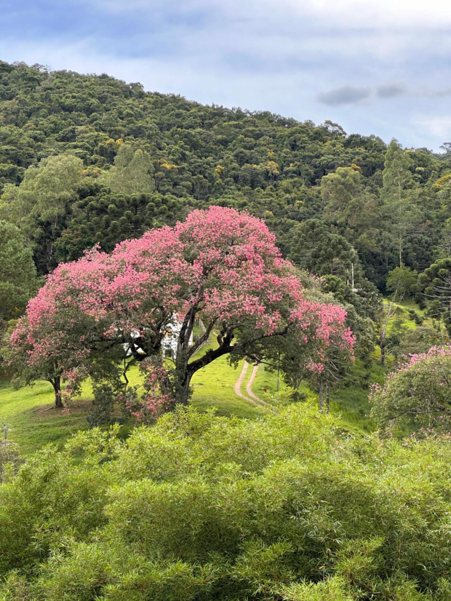 Holiday home Recanto Sao Francisco Campos do Jordao